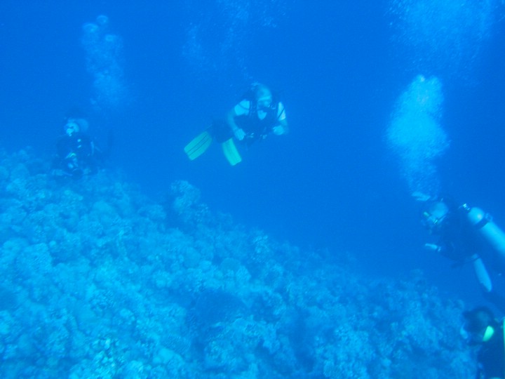 IMG_3037.JPG