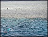 IMG_3034.JPG