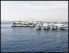IMG_3035.JPG