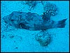 IMG_3044.JPG