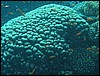 IMG_3053.JPG