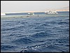 IMG_3056.JPG