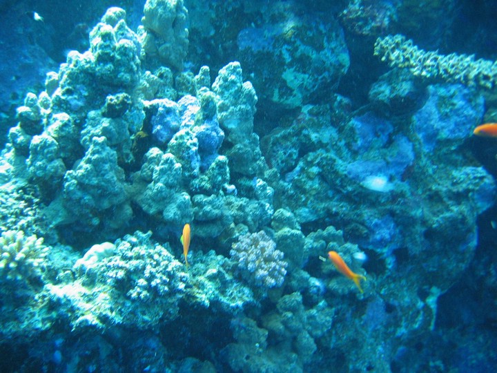 IMG_3092.JPG