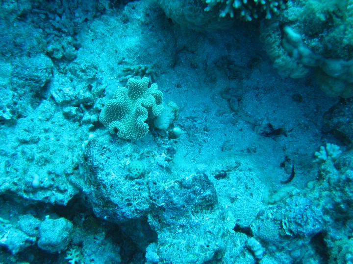 IMG_3115.JPG
