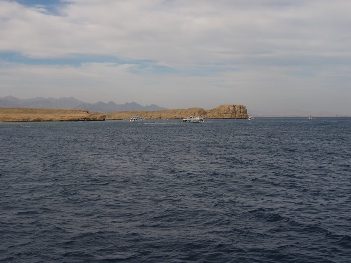 IMG_3121.JPG