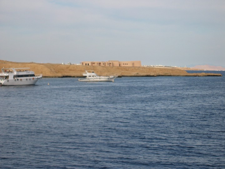 IMG_3135.JPG