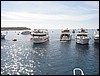IMG_3087.JPG
