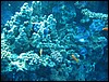 IMG_3092.JPG