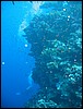 IMG_3094.JPG