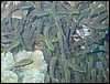 IMG_3109.JPG