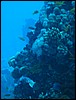 IMG_3111.JPG