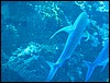 IMG_3112.JPG