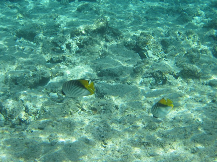 IMG_3452.JPG