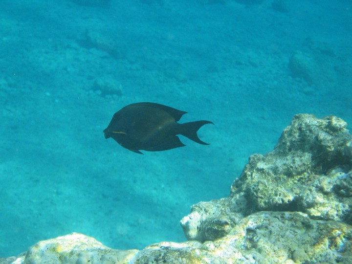 IMG_3455.JPG