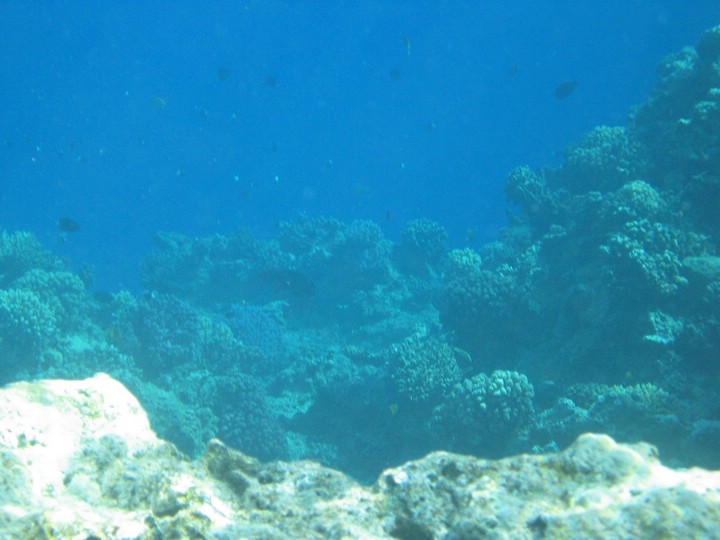 IMG_3456.JPG