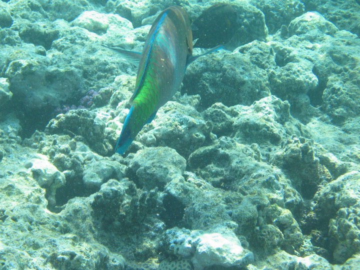 IMG_3459.JPG