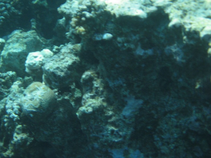 IMG_3462.JPG