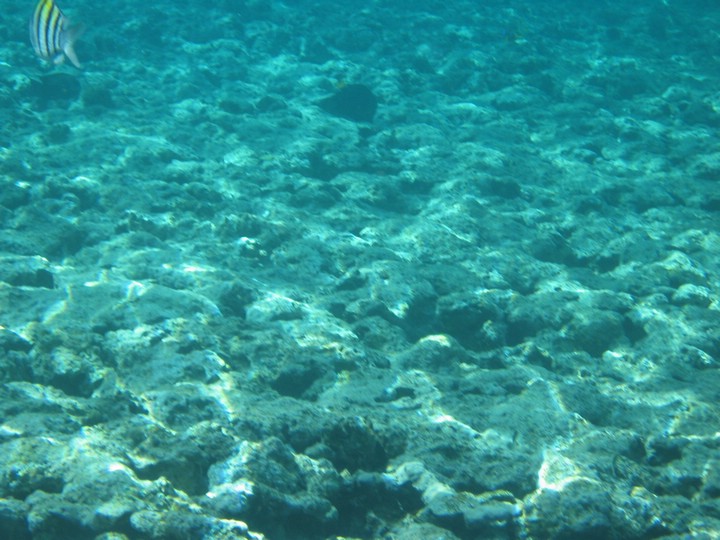 IMG_3466.JPG