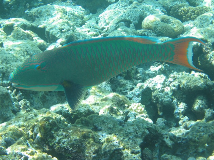 IMG_3469.JPG