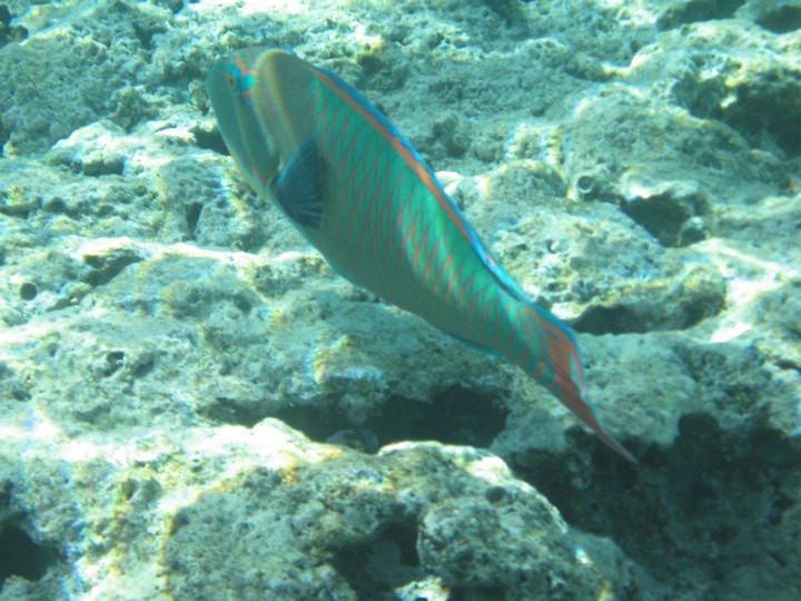 IMG_3470.JPG