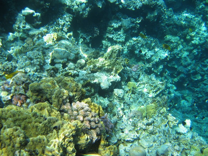 IMG_3473.JPG
