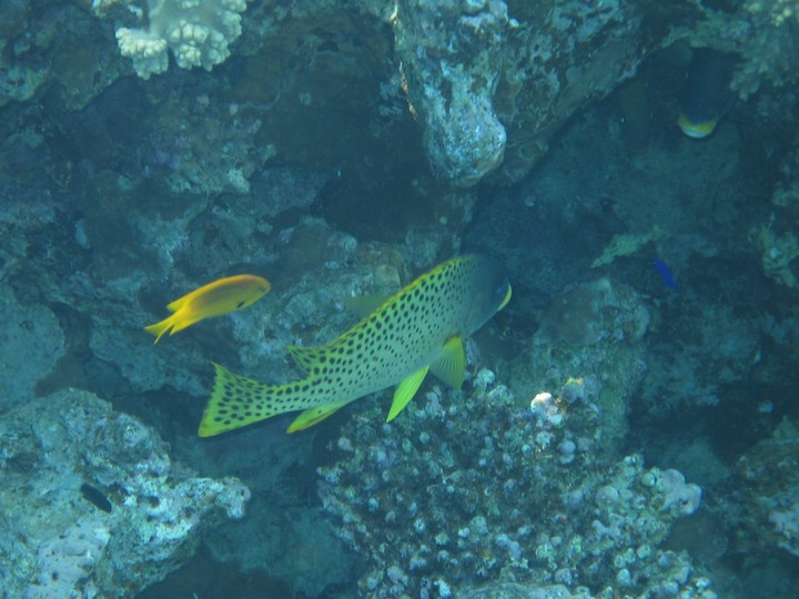 IMG_3474.JPG