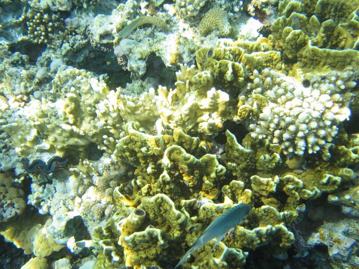 IMG_3476.JPG