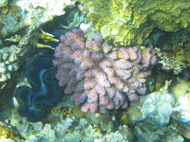 IMG_3477.JPG