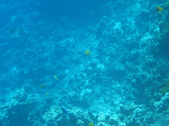 IMG_3478.JPG