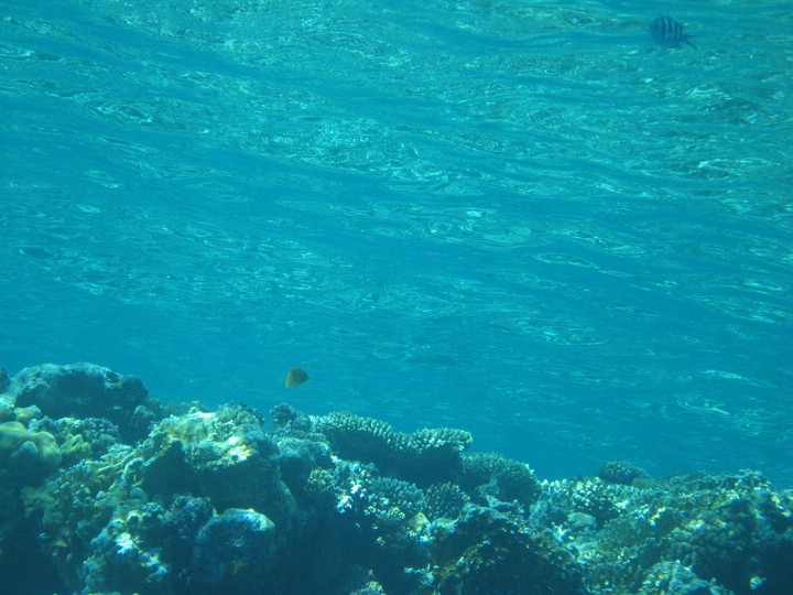 IMG_3480.JPG