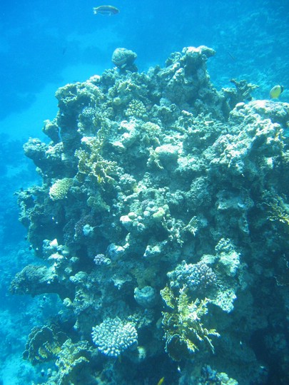 IMG_3483.JPG