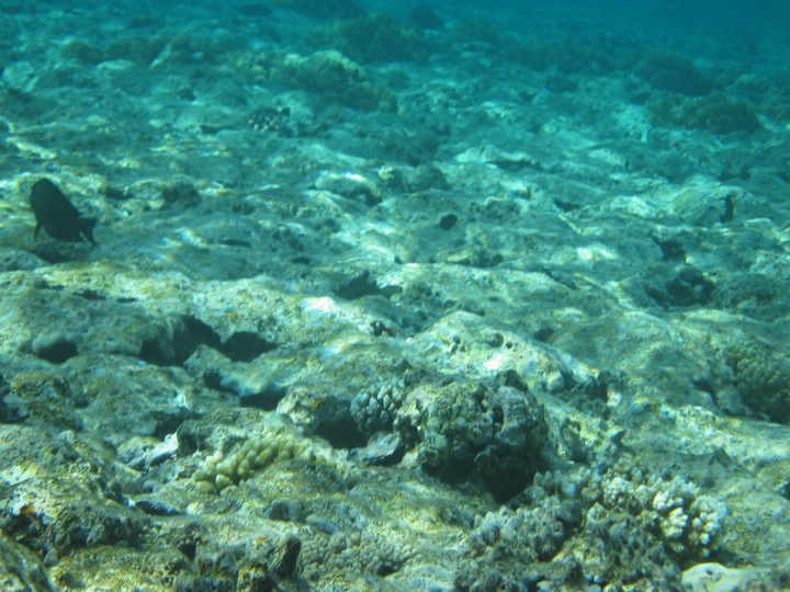 IMG_3493.JPG