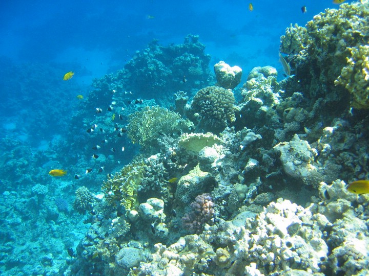 IMG_3497.JPG