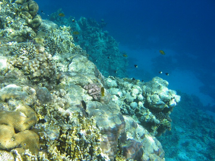 IMG_3498.JPG