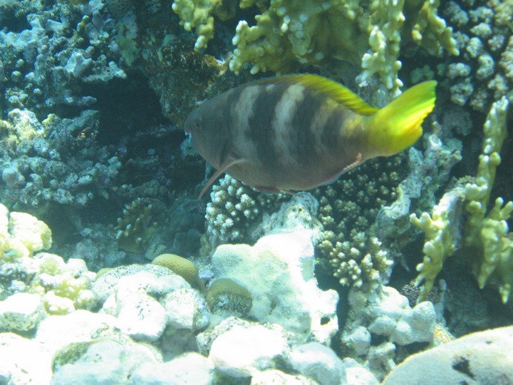 IMG_3499.JPG