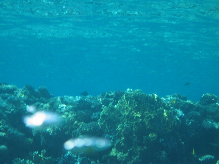 IMG_3503.JPG