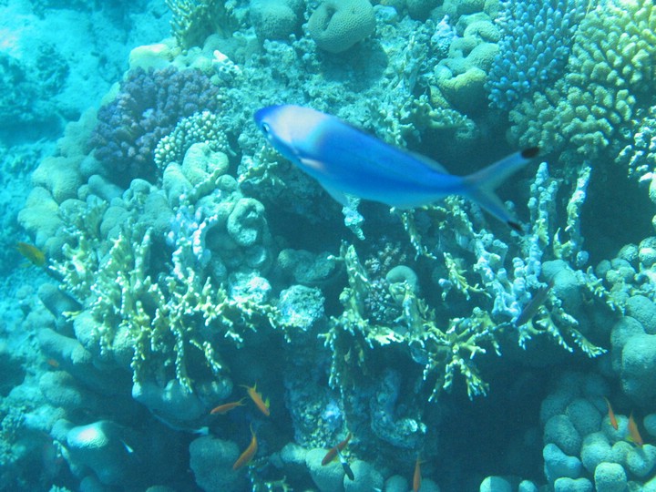IMG_3505.JPG