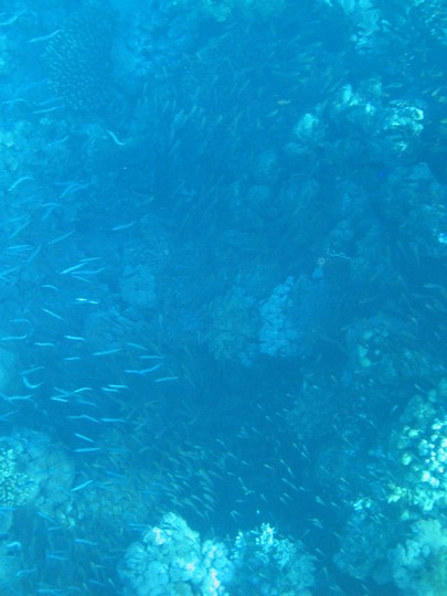 IMG_3506.JPG