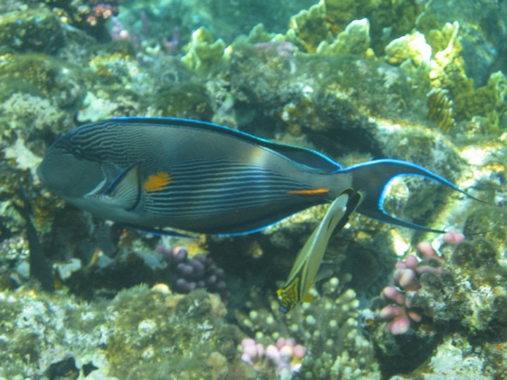 IMG_3509.JPG