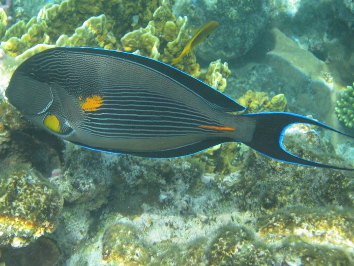 IMG_3512.JPG