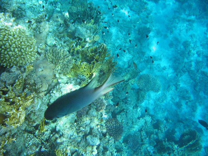 IMG_3516.JPG