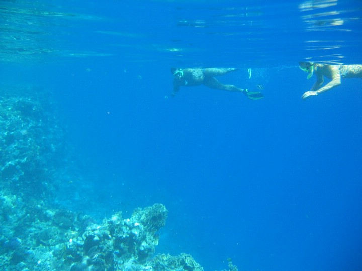 IMG_3517.JPG