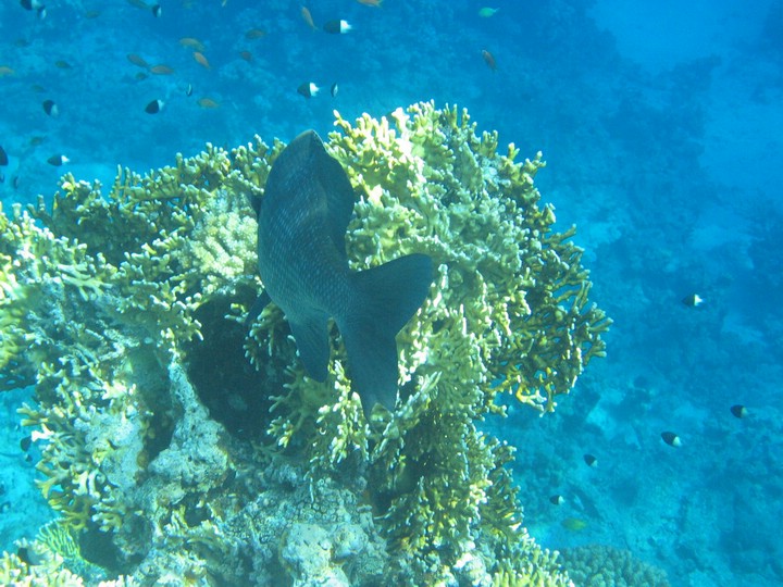 IMG_3518.JPG