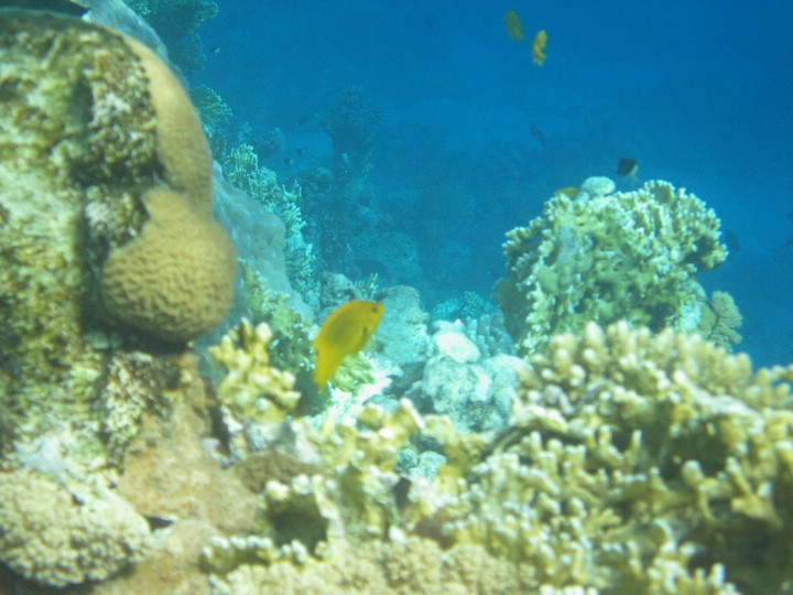 IMG_3523.JPG