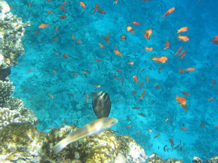 IMG_3528.JPG