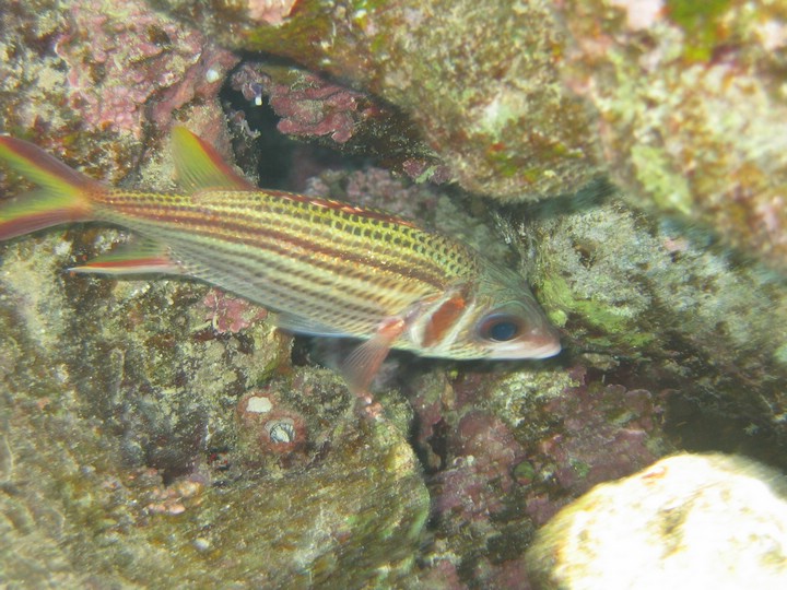 IMG_3544.JPG