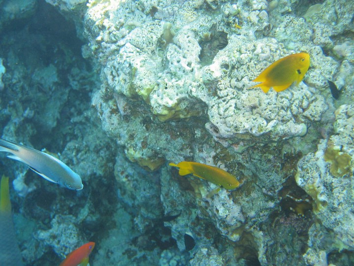 IMG_3545.JPG