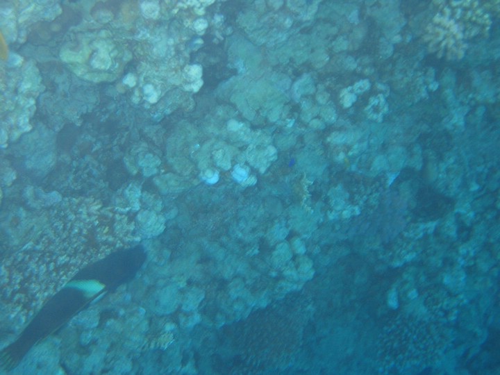 IMG_3546.JPG