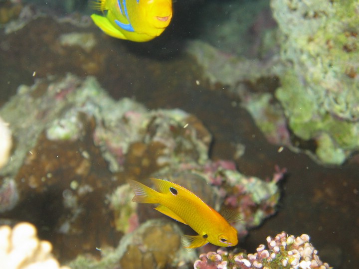 IMG_3549.JPG