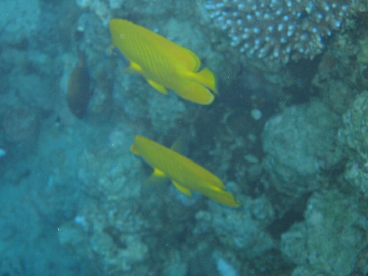 IMG_3551.JPG